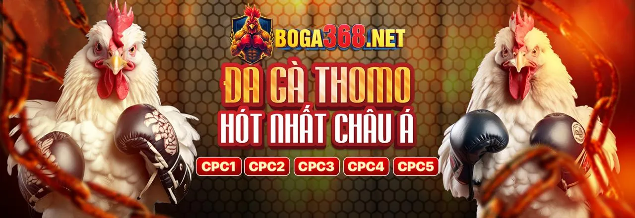 Đăng ký tài khoản 2bong
