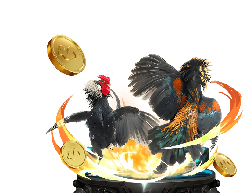 Đá gà SV388 trực tiếp tại 2bong gà sv388